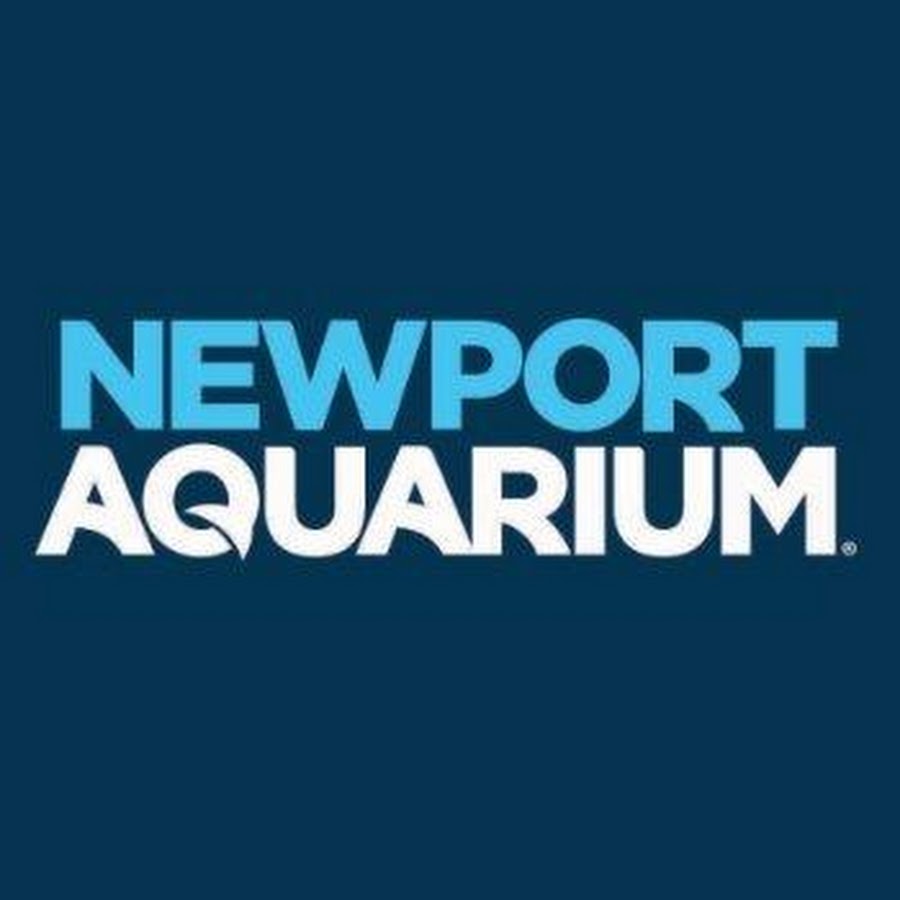 Aquariums and Zoos-Newport Aquarium